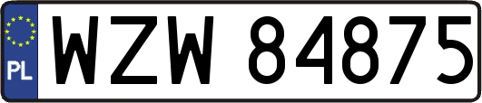WZW84875