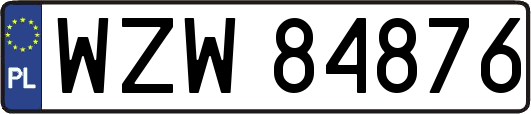WZW84876