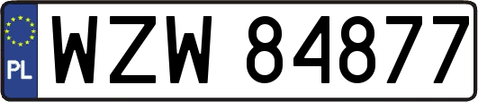 WZW84877