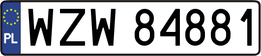 WZW84881