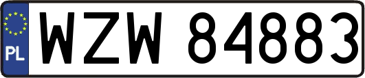WZW84883