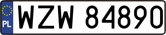 WZW84890