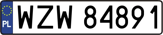 WZW84891