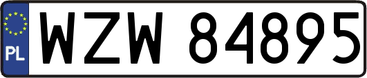 WZW84895