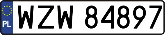 WZW84897