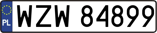WZW84899