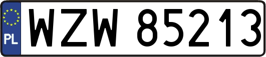 WZW85213