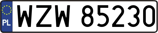 WZW85230