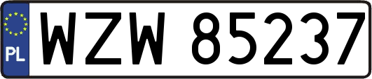 WZW85237