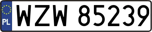 WZW85239