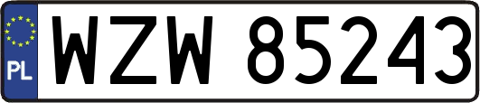 WZW85243