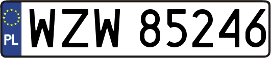 WZW85246