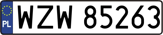 WZW85263