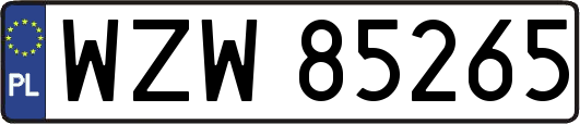 WZW85265