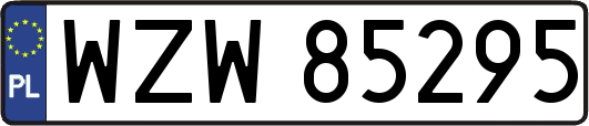 WZW85295