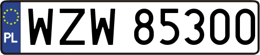 WZW85300