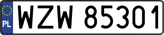 WZW85301