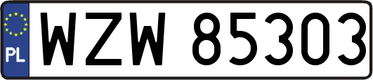 WZW85303