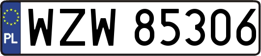 WZW85306
