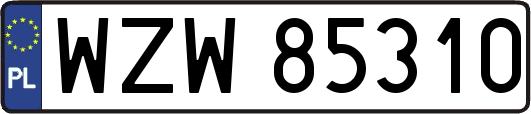 WZW85310