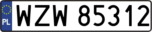 WZW85312
