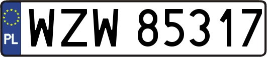 WZW85317