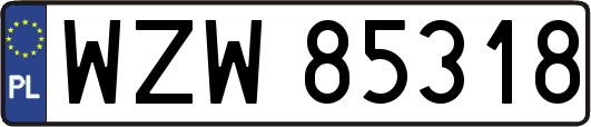 WZW85318