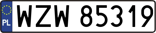 WZW85319