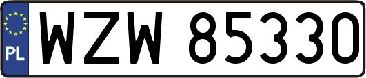 WZW85330