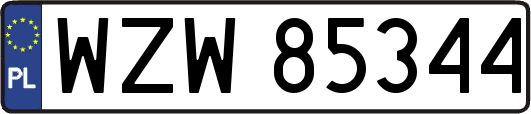 WZW85344