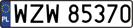 WZW85370