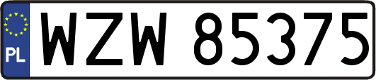 WZW85375
