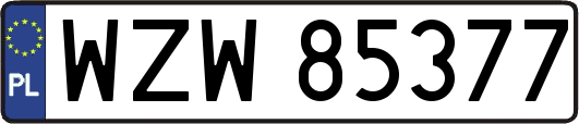 WZW85377