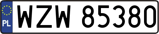 WZW85380