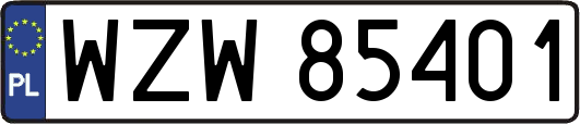 WZW85401