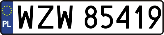 WZW85419