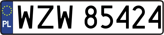WZW85424