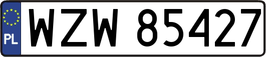 WZW85427