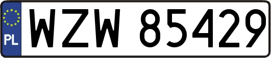 WZW85429