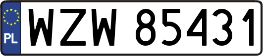 WZW85431