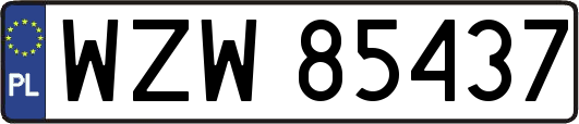 WZW85437