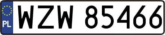 WZW85466