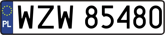 WZW85480