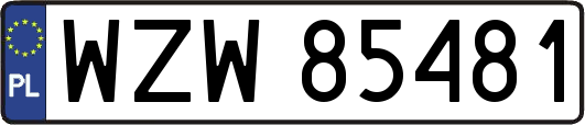 WZW85481