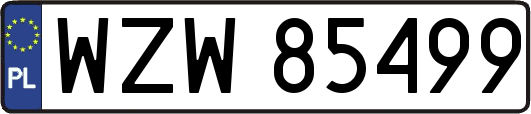 WZW85499