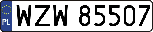 WZW85507