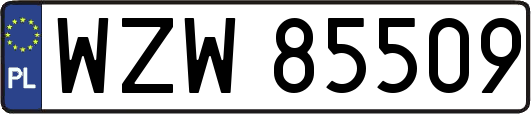 WZW85509