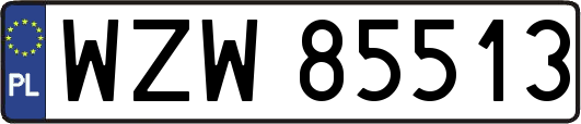 WZW85513