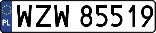 WZW85519