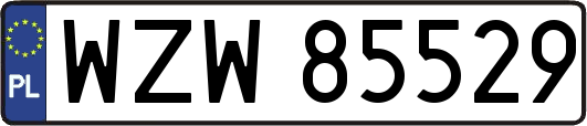 WZW85529